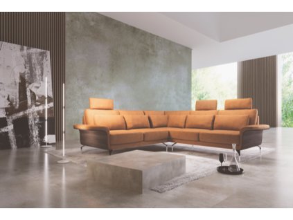 webptopng 1763029876213 AMANDA