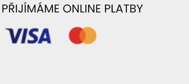 Způsoby platby