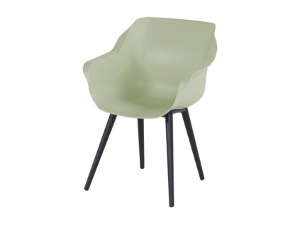 jídelní židle Hartman hráškově zelená