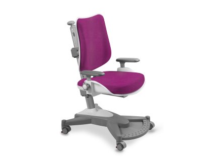 Dětská rostoucí židle myChamp 2431 30 208