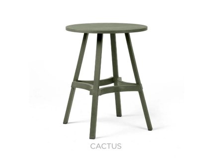 combo60 cactus