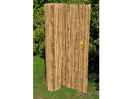 Bambusový plot 150x300 cm