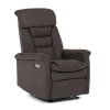 TV a relaxační křeslo s elektrickým ovládáním TV-925 (Barva potahu Hnědá)