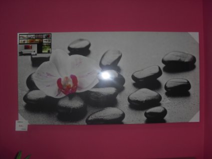 Obraz  - květ, oblázky