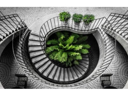 Obraz Trendy, tištěné plátno 70 x 110 cm