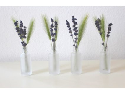 Bondecor OBRAZ v bílém rámečku DMB 3343 tráva-levandule