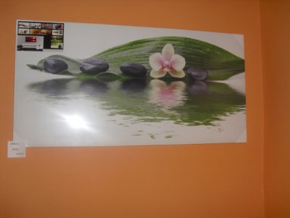 Obraz list , růžový květ