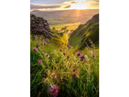 Bondecor OBRAZ CAGI 80x150 cm údolí