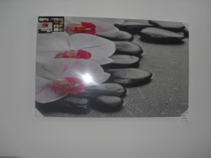 Obraz růžové květy, oblázky