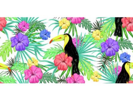 Obraz Tukan, tištěné plátno 50 x 100 cm