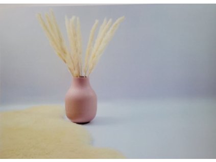 Bondecor OBRAZ v bílém rámečku DMB 3343 tráva- pink váza