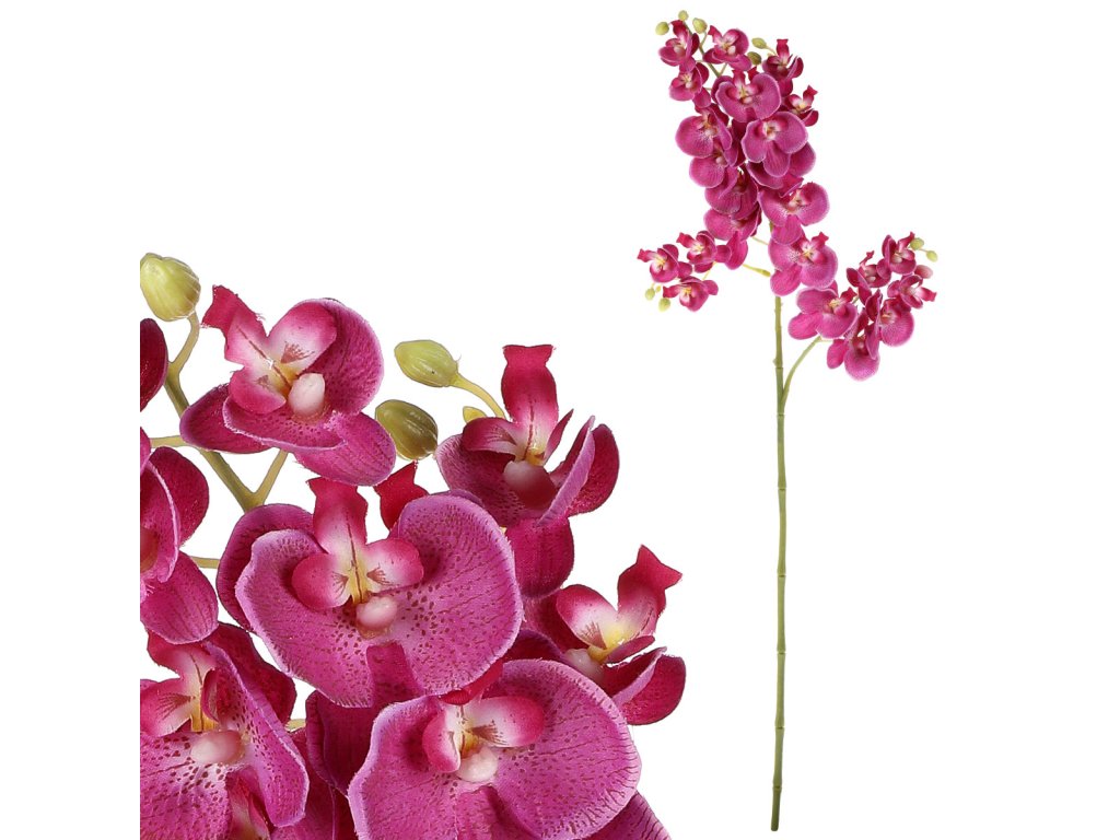 Produktový obrázek 1