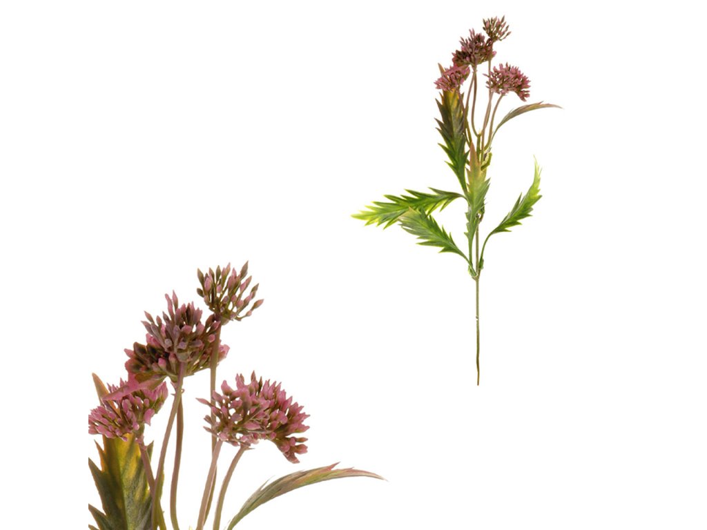 Produktový obrázek 1