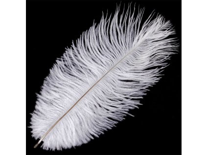 Pštrosí peří - barva bílá, cena za 1 ks, v balení (24 ks) (Barva Bílá)