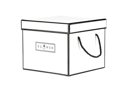 Flower box - papír, krabice, barva bílá, cena za 1 ks (Barva Bílá)