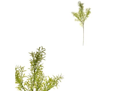 Asparagus - umělá větev, barva zelená (Barva Zelená)