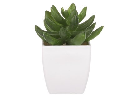 Sukulent v bílém plastovém obalu - umělý, zelený (Barva Zelená)