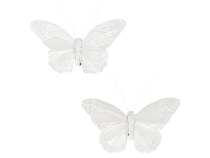 Motýl s klipem, 6ks v krabičce, cena za 1 krabičku (Barva Bílá)
