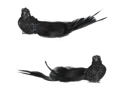 Ptáček na klipu, barva černá, cena za balení (4 ks) (Barva Černá)