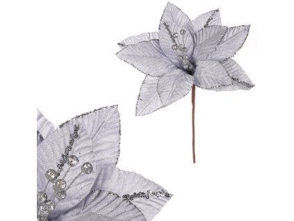 Vánoční růže - sametový květ, barva světle modrá (Barva Modrá)