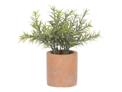 Rozmarýn ve světle hnědém obalu - umělý, zelený (Barva Zelená)