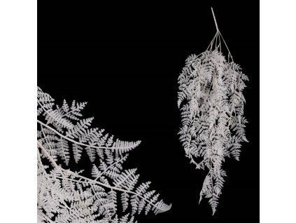 Kapradí - umělá převislá větev, barva bílá (Barva Bílá)