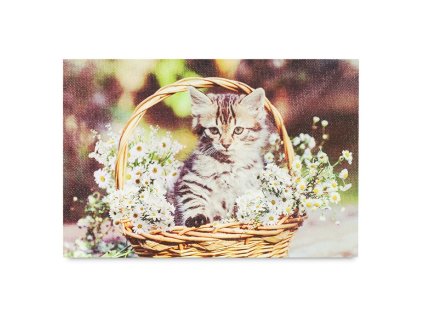 Obraz se stojánkem - LED osvětlení 3 ks, kotě v košíku (Barva Hnědá)