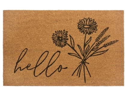 Rohožka Hello 105569 - na ven i na doma (Rozměry koberců 45x75)