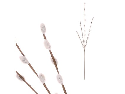 Kočičky - umělá větev, barva přírodní (Barva Bílá)