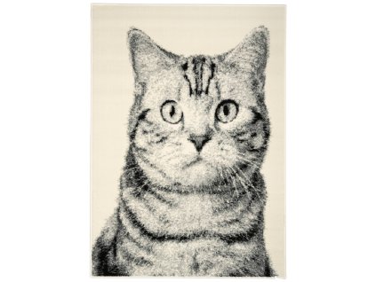 Kusový koberec Cat grey (Rozměry koberců 80x120)