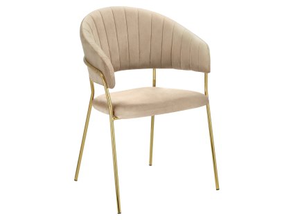 dasmin typ 1 new dod n bezova 01