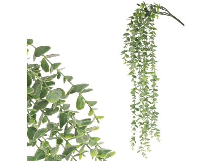 Eukalyptus - umělá převislá větev, zelená (Barva Zelená)