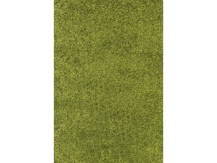 Kusový koberec Life Shaggy 1500 green (Rozměry koberců 60x110)