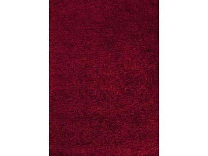 Kusový koberec Dream Shaggy 4000 Red (Rozměry koberců 80x150)