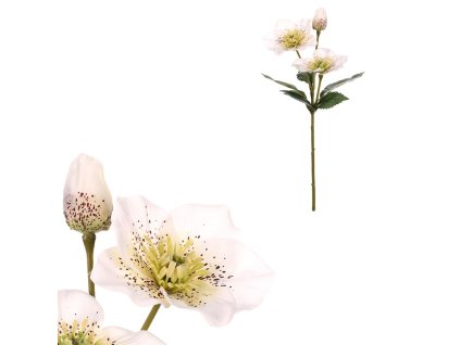 Čemeřice - umělá řezaná, bílé květy (Barva Bílá)