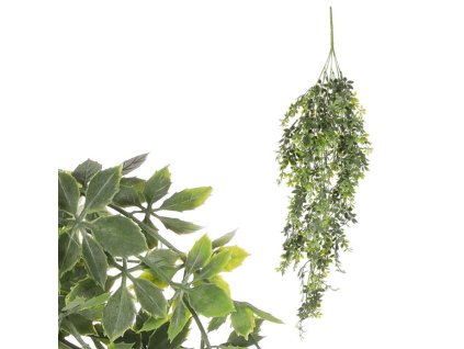 Přísavník pětiprstý - umělá převislá větev, zelená (Barva Zelená)