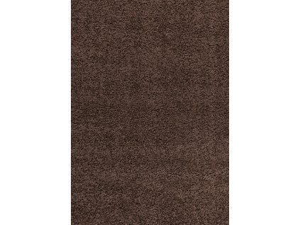 Kusový koberec Dream Shaggy 4000 brown (Rozměry koberců 60x110)