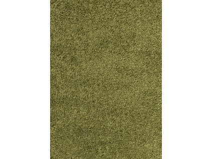 Kusový koberec Dream Shaggy 4000 green (Rozměry koberců 120x170)