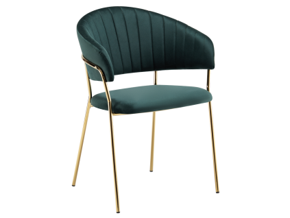 dasmin typ 1 zelena 01