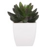Sukulent v bílém plastovém obalu - umělý, zelený (Barva Zelená)