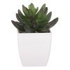 Sukulent v bílém plastovém obalu - umělý, zelený (Barva Zelená)