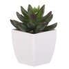Sukulent v bílém plastovém obalu - umělý, zelený (Barva Zelená)