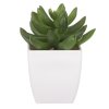 Sukulent v bílém plastovém obalu - umělý, zelený (Barva Zelená)