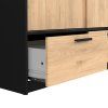 Skříň Lincoln 2D2S černý mat/jackson hickory, moderní design, ekologická výroba