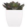 Sukulent v bílém plastovém obalu - umělý, zelený (Barva Zelená)