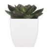 Sukulent v bílém plastovém obalu - umělý, zelený (Barva Zelená)