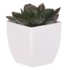 Sukulent v bílém plastovém obalu - umělý, zelený (Barva Zelená)