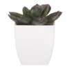 Sukulent v bílém plastovém obalu - umělý, zelený (Barva Zelená)