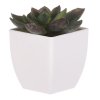 Sukulent v bílém plastovém obalu - umělý, zelený (Barva Zelená)
