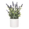 Levandule v bílém obalu - umělá, barva přírodní (Barva Fialová)